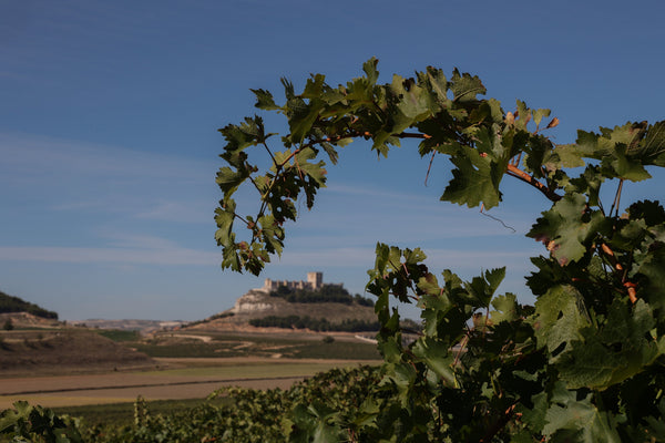 The Right Ribera for the Moment, whatever the Moment Is
