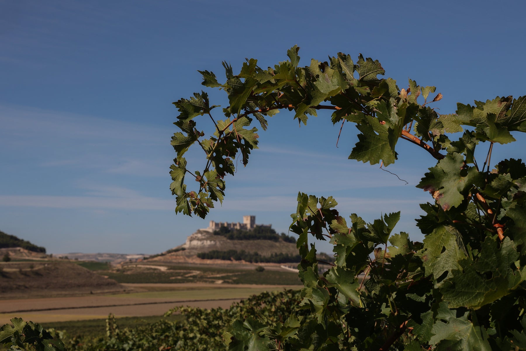 The Right Ribera for the Moment, whatever the Moment Is