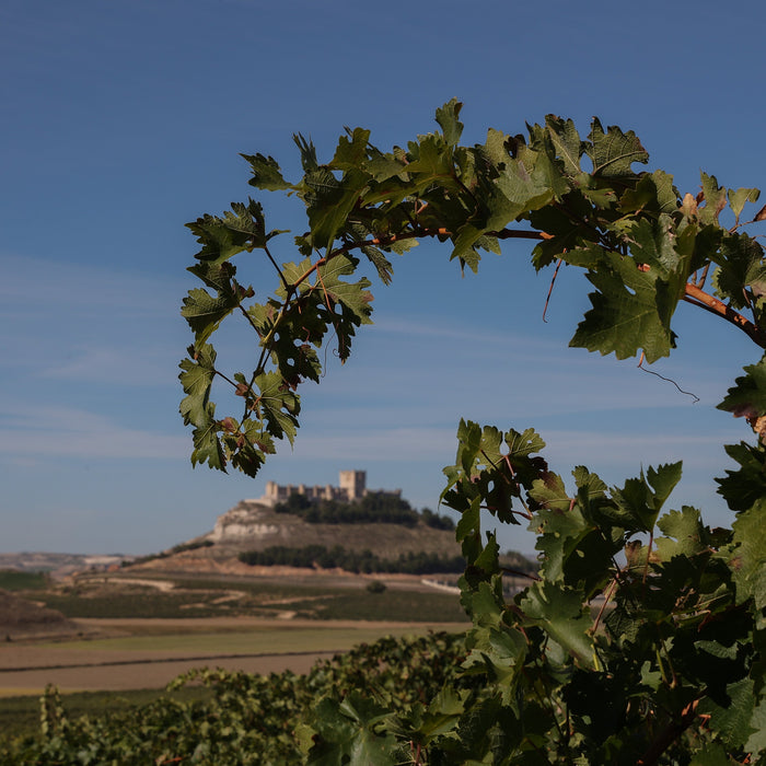 The Right Ribera for the Moment, whatever the Moment Is
