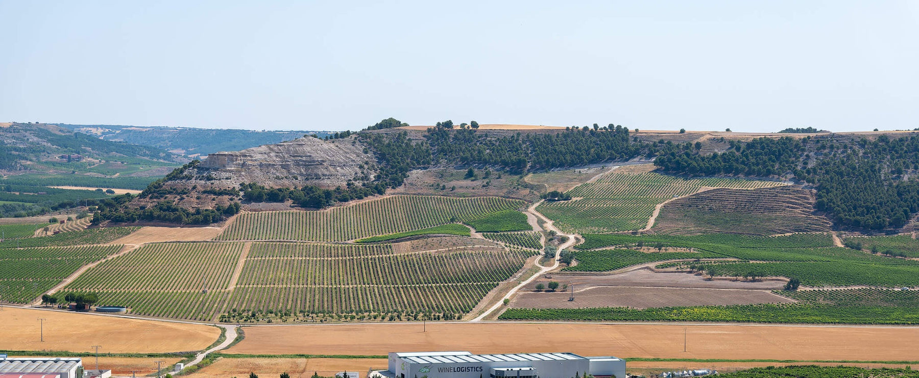 Ribera del Duero: A Guide to One of Spain's Greatest Wine Regions