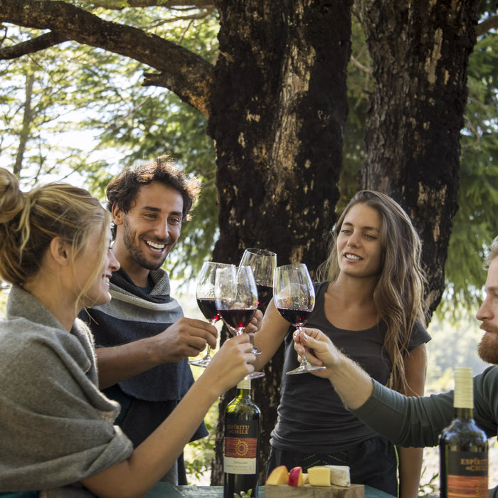 Espíritu de Chile – Capturing the Spirit of Chile through Wine