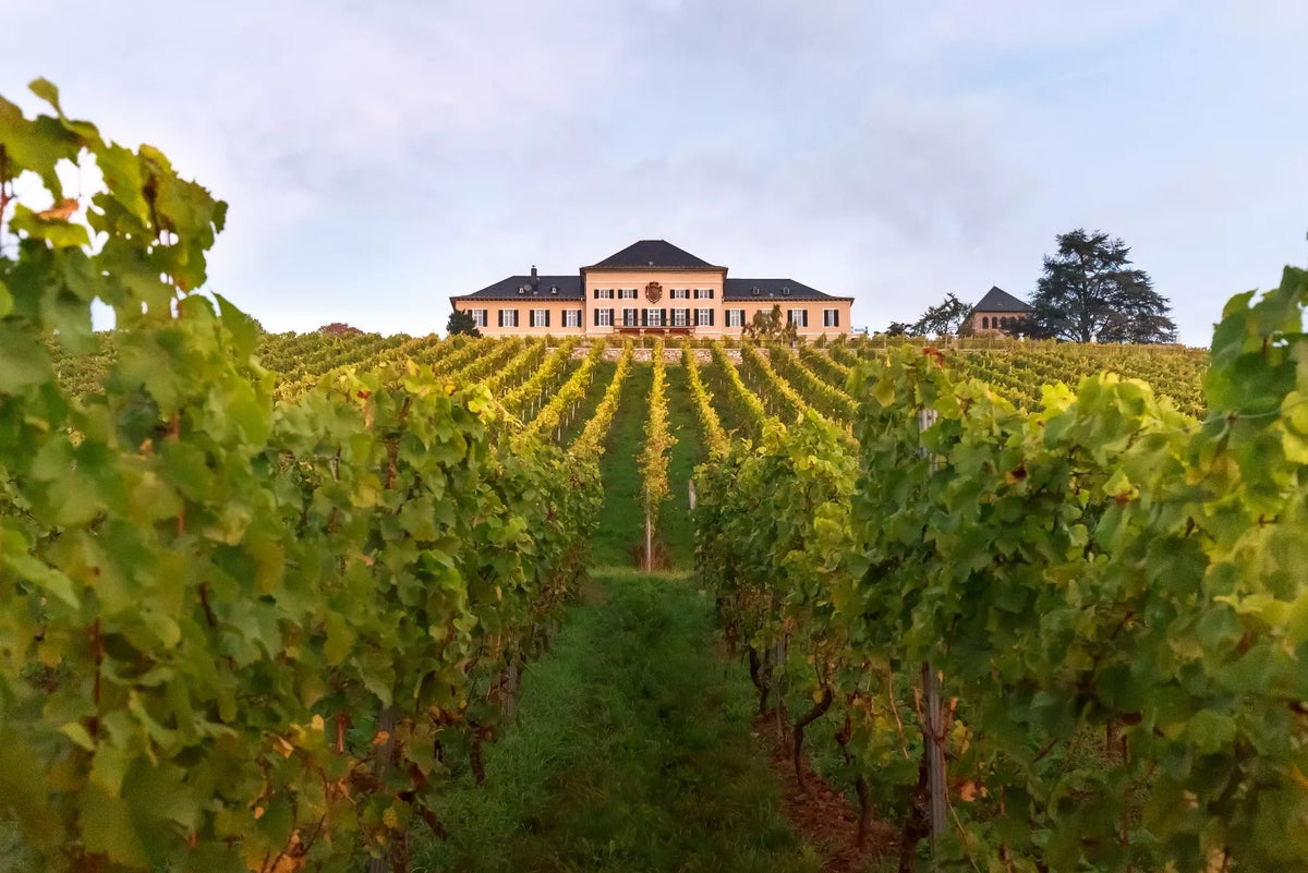 Schloss Johannisberg: Celebrating 300 years of Riesling during 31 Days of German Riesling