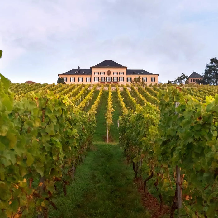 Schloss Johannisberg: Celebrating 300 years of Riesling during 31 Days of German Riesling
