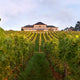 Schloss Johannisberg: Celebrating 300 years of Riesling during 31 Days of German Riesling