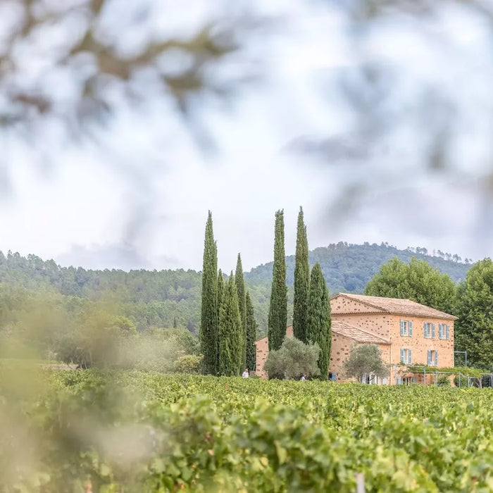 Domaine Mirabeau:  Ten Years in Provence