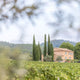 Domaine Mirabeau:  Ten Years in Provence