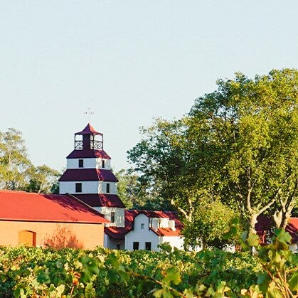 A Spanish Grape, an Australian Legend: The Story Behind Dalfarras Albariño