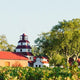 A Spanish Grape, an Australian Legend: The Story Behind Dalfarras Albariño