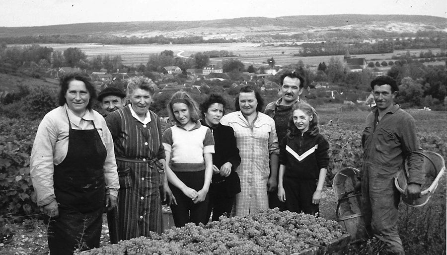 Piollot: The Grower Champagne You've Never Heard Of