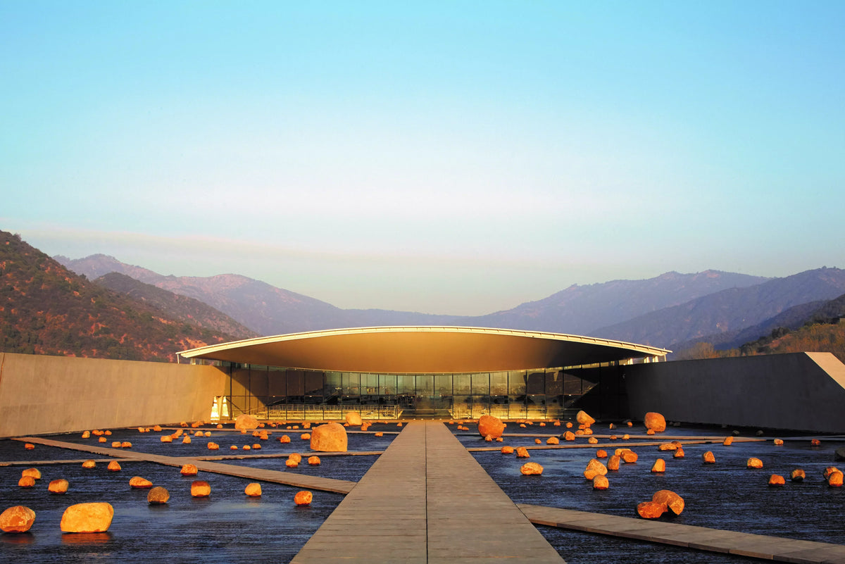 Viña VIK – A Chilean Winery Putting the “Whole” into “Holistic”