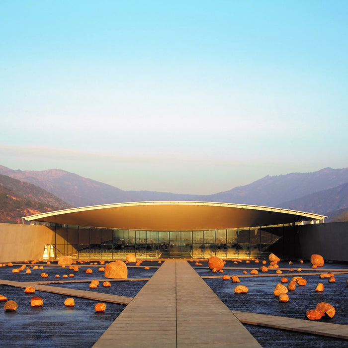 Viña VIK – A Chilean Winery Putting the “Whole” into “Holistic”