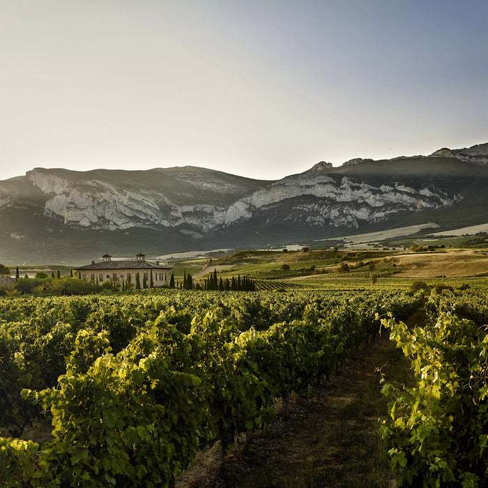 La Rioja Alta – Sticking to Tradition with a Modern Twist