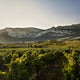 La Rioja Alta – Sticking to Tradition with a Modern Twist