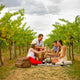 Australia’s Limestone Coast: The Secret’s in the Soil