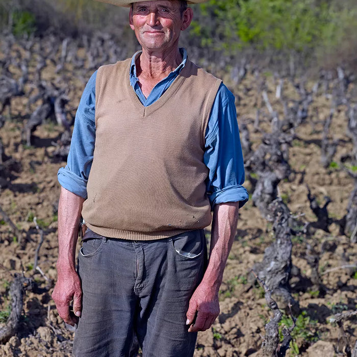 The Garage Wine Company: Bringing a Breath of Fresh Air to the Chilean Wine Scene