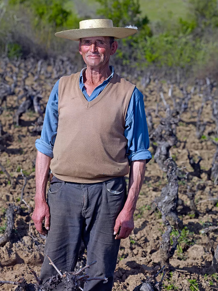 The Garage Wine Company: Bringing a Breath of Fresh Air to the Chilean Wine Scene