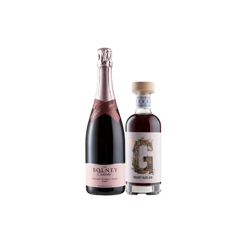Bolney Sloe Gin & Bubbly Duo x2