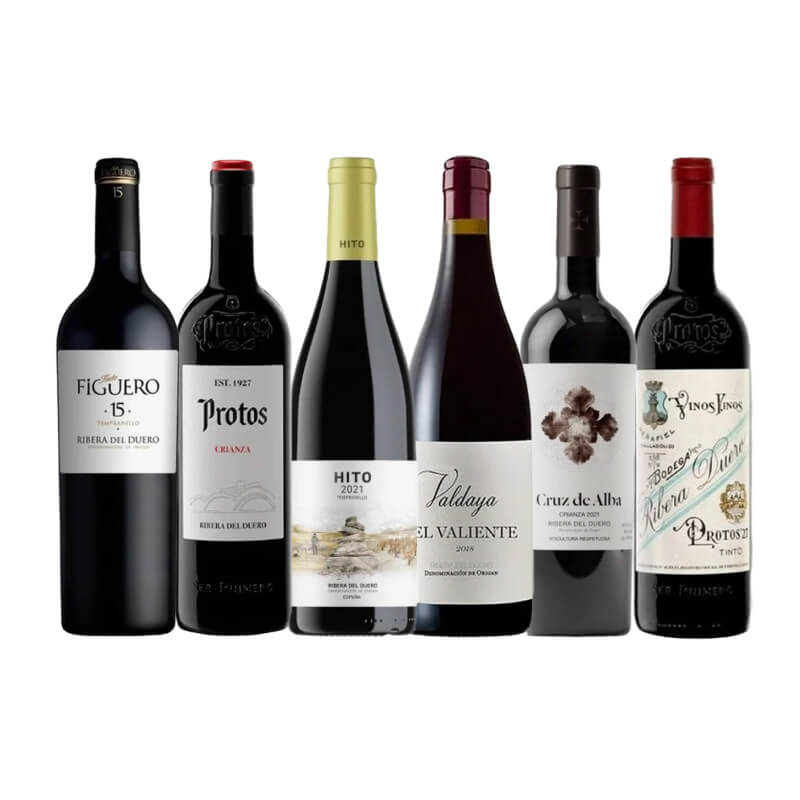 Ribera del Duero Mixed Case x6