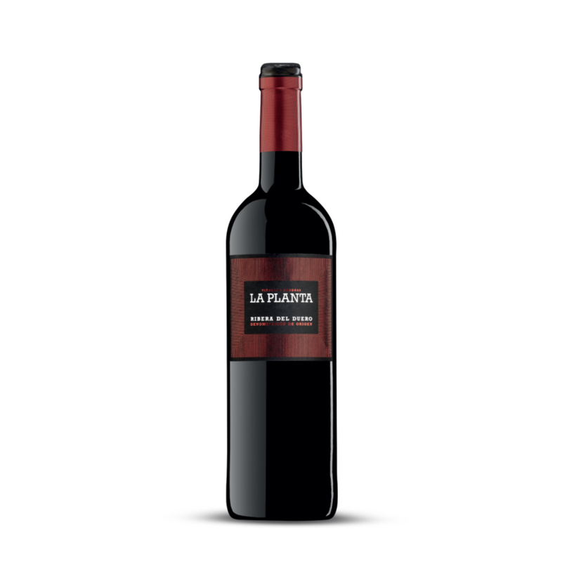 Arzuaga La Planta Ribera del Duero