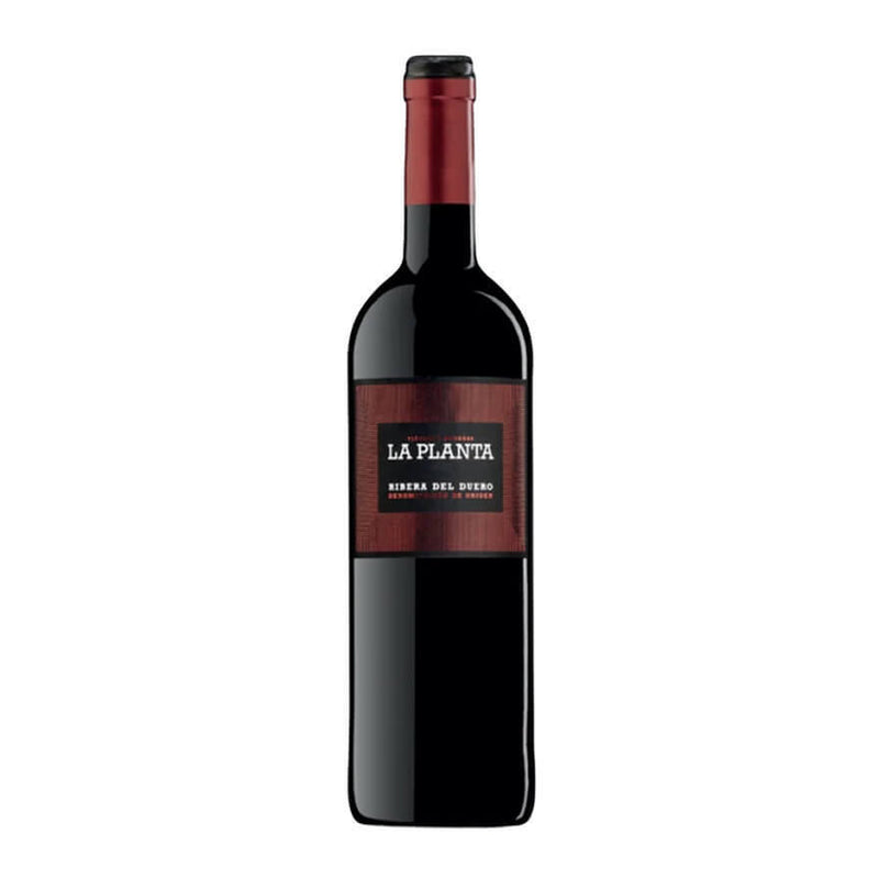 Arzuaga La Planta Ribera del Duero
