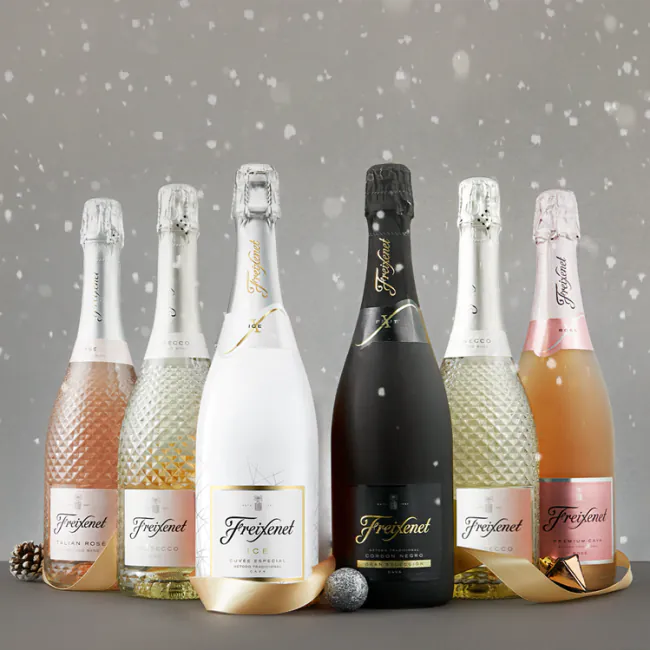 Freixenet Fizz Case - 6 Bottles