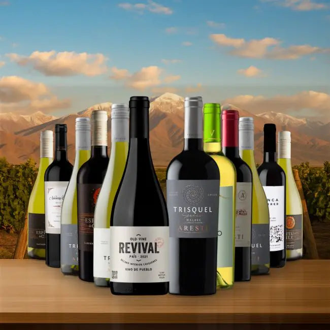 South American Case - 12 Bottles