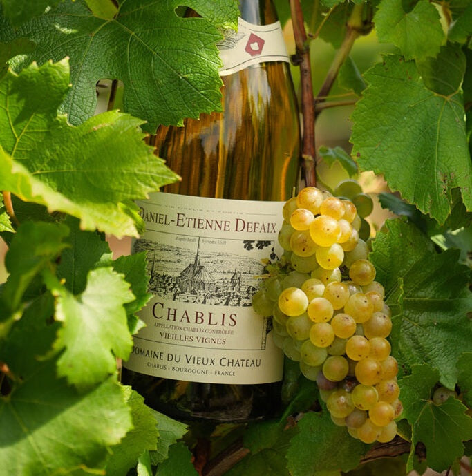 Chardonnay
