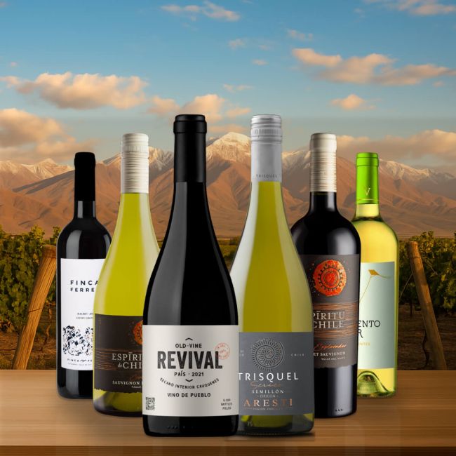 South American Mix - 6 Bottles for £65 – SAVE Over £25