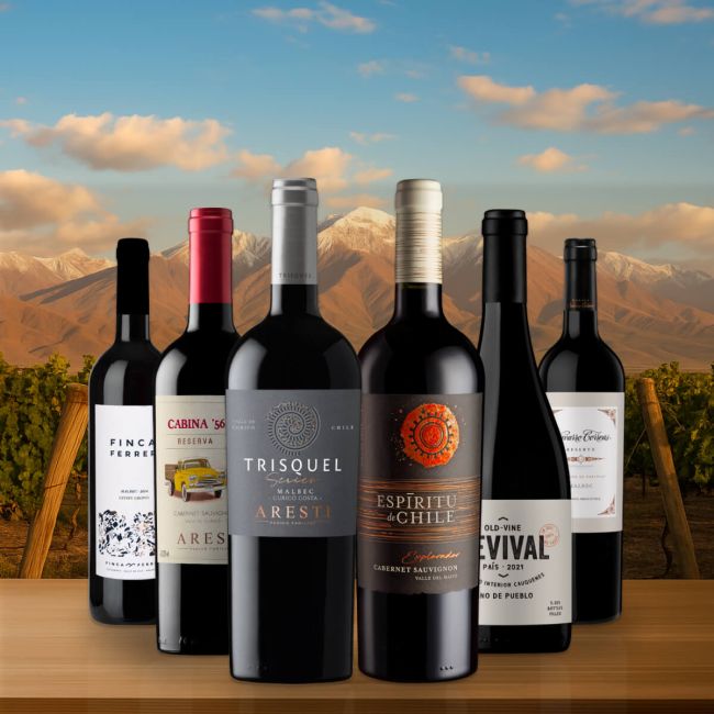 South American Reds - 6 Bottles for £65 – SAVE £30