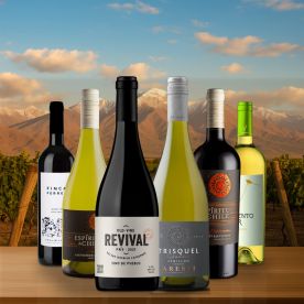 South American Mix - 6 Bottles for £65 – SAVE Over £25