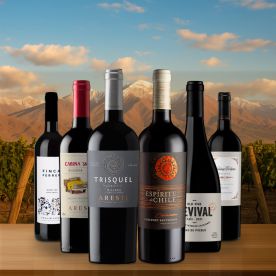 South American Reds - 6 Bottles for £65 – SAVE £30